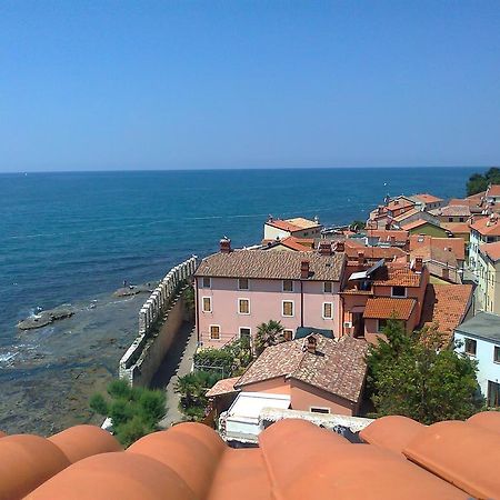 Apartments Edo Novigrad Istria المظهر الخارجي الصورة